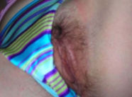gros plan sur une jeune chatte poilue